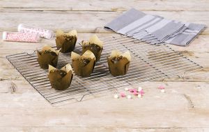 Auskühlgitter, eckig  Maße: ca. 45 x 30cm