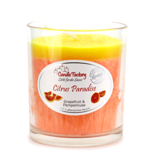 Candle Factory Party Light - Citrus Paradise